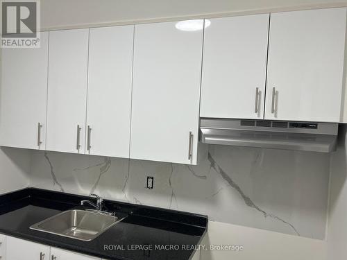 2 - 660 Main Street, Hamilton, ON - Indoor Photo Showing Kitchen With Double Sink