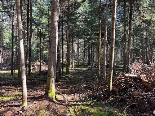 Terre/Terrain - Ch. Paquin, Val-David, QC 