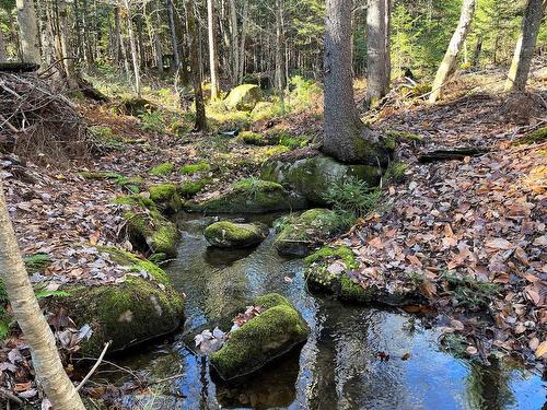 Terre/Terrain - Ch. Paquin, Val-David, QC 