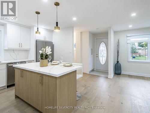 47 Alderney Avenue, Hamilton, ON - Indoor Photo Showing Kitchen