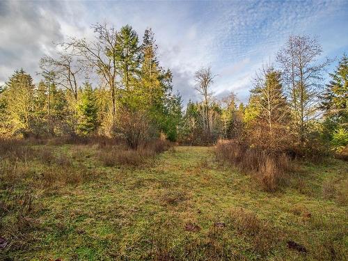 3193 Farrar Rd, Ladysmith, BC 