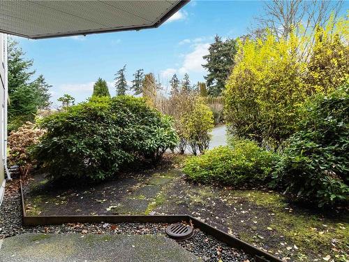 206C-4678 Elk Lake Dr, Saanich, BC - Outdoor