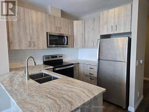 1710 - 104 Garment Street, Kitchener, ON - Indoor Photo Showing Kitchen With Double Sink With Upgraded Kitchen