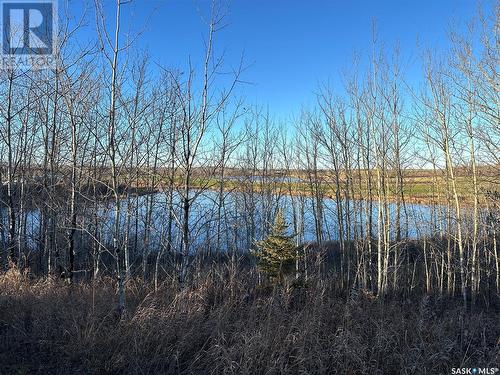 Waterfront With A View, Leask Rm No. 464, SK 