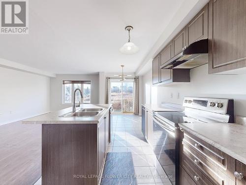 60 Cole Crescent, Brantford, ON - Indoor Photo Showing Kitchen With Double Sink