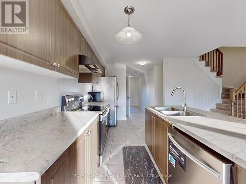 60 Cole Crescent, Brantford, ON - Indoor Photo Showing Kitchen With Double Sink