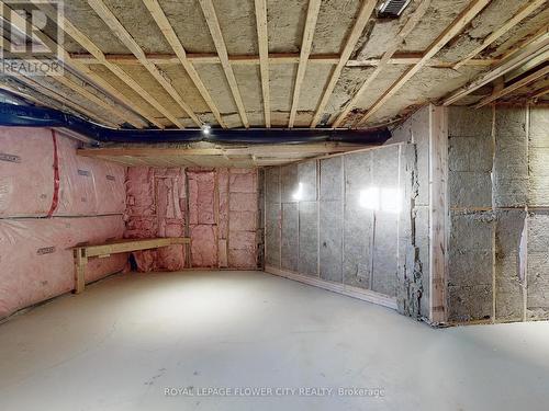 60 Cole Crescent, Brantford, ON - Indoor Photo Showing Basement