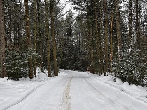 ExtÃ©rieur - 168 Ch. Cambria, Gore, QC - Outdoor