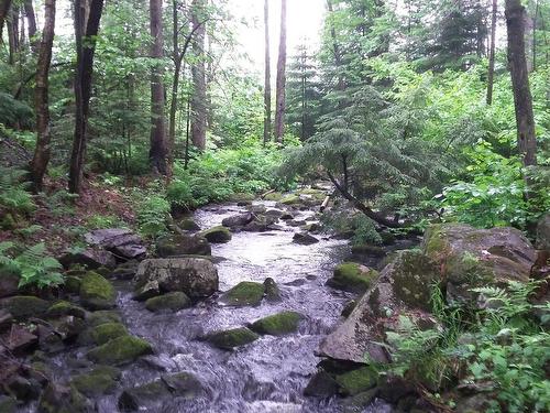 Vue sur l'eau - 168 Ch. Cambria, Gore, QC - Outdoor