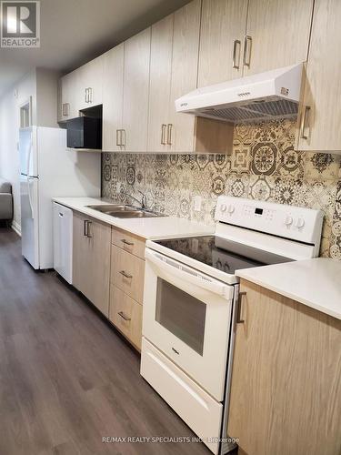 202 - 307 King Street, Hamilton, ON - Indoor Photo Showing Kitchen With Double Sink