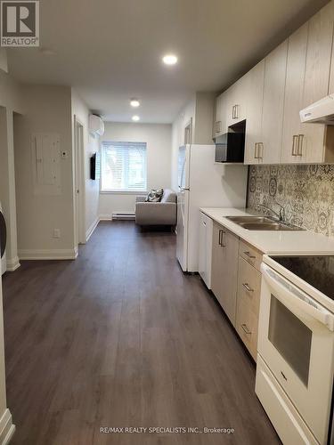 202 - 307 King Street, Hamilton, ON - Indoor Photo Showing Kitchen With Double Sink