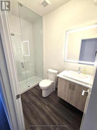 Main - 33 Rainwater Lane, Barrie, ON - Indoor Photo Showing Bathroom