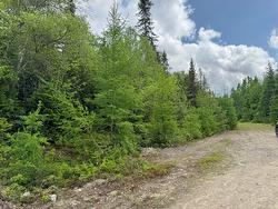 Rue des Golfeurs  Sainte-Marguerite-Du-Lac-Masson, QC J0T 1L0