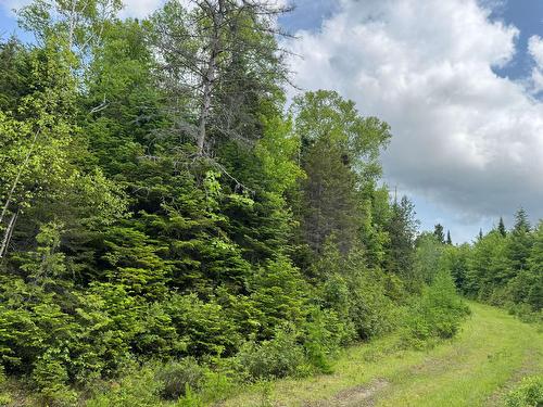 Façade - Rue Des Golfeurs, Sainte-Marguerite-Du-Lac-Masson, QC 