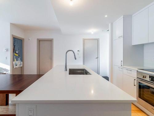 Kitchen - 730B-1400 Rue Ottawa, Montréal (Le Sud-Ouest), QC - Indoor Photo Showing Kitchen With Upgraded Kitchen