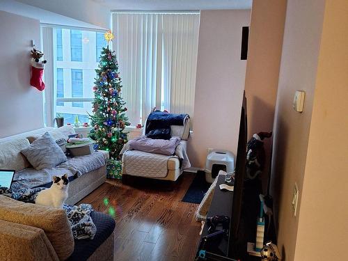 515-153 Beecroft Rd, Toronto, ON - Indoor Photo Showing Living Room