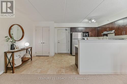 214 - 1460 Main Street E, Milton, ON - Indoor Photo Showing Kitchen