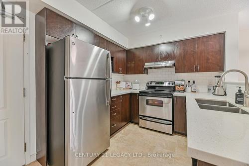 214 - 1460 Main Street E, Milton, ON - Indoor Photo Showing Kitchen With Double Sink