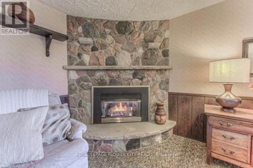 160 Westheights Drive, Kitchener, ON - Indoor Photo Showing Living Room With Fireplace