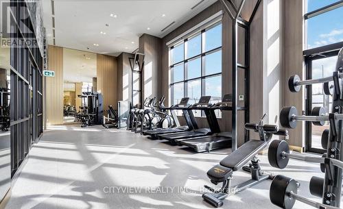 Ph10 - 395 Dundas Street W, Oakville, ON - Indoor Photo Showing Gym Room