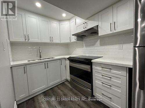 294 Kincardine(Basement) Terrace, Milton, ON - Indoor Photo Showing Kitchen With Double Sink