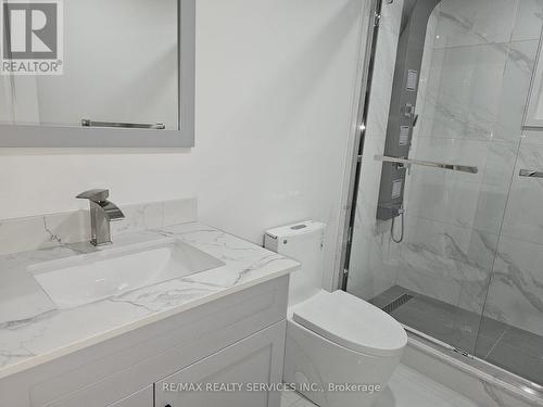 Lower - 19 Vineyard Drive, Brampton, ON - Indoor Photo Showing Bathroom