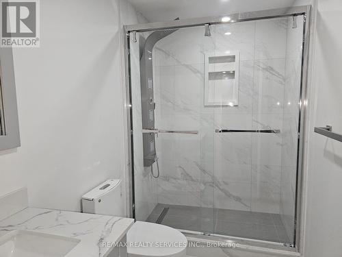 Lower - 19 Vineyard Drive, Brampton, ON - Indoor Photo Showing Bathroom