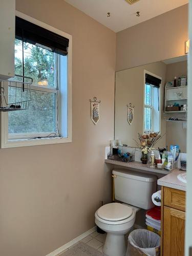 10A Wolf Crescent, Invermere, BC - Indoor Photo Showing Bathroom