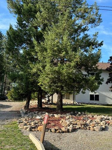 10A Wolf Crescent, Invermere, BC - Outdoor With View