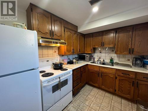 Bsmnt - 10 Ashford Court, Brampton, ON - Indoor Photo Showing Kitchen With Double Sink