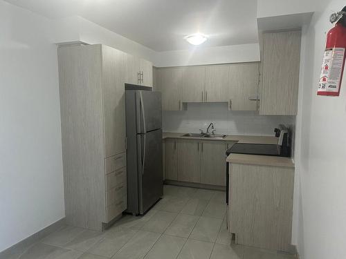 Kitchen - 317-5215 Rue Riviera, Montréal (Pierrefonds-Roxboro), QC - Indoor Photo Showing Kitchen With Double Sink