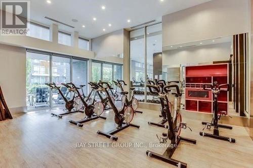 2009 - 88 Sheppard Avenue E, Toronto, ON - Indoor Photo Showing Gym Room