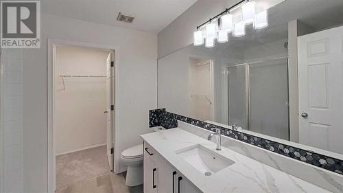 246 Saddlefield Place Ne, Calgary, AB - Indoor Photo Showing Bathroom