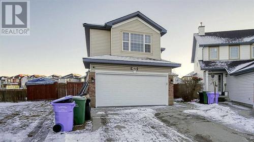 246 Saddlefield Place Ne, Calgary, AB - Outdoor