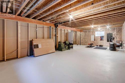 45 Mackenzie Way, Carstairs, AB - Indoor Photo Showing Basement