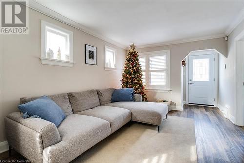 Living room featuring crown molding, plenty of natural light, and hardwood / wood-style flooring - 245 St Andrews Street, Cambridge, ON - Indoor Photo Showing Living Room