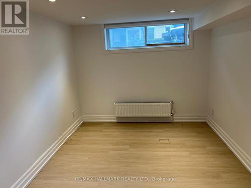 Lower - 163 Boulton Avenue, Toronto, ON - Indoor Photo Showing Other Room