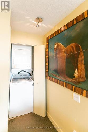 710 - 77 Lombard Street, Toronto, ON - Indoor Photo Showing Laundry Room