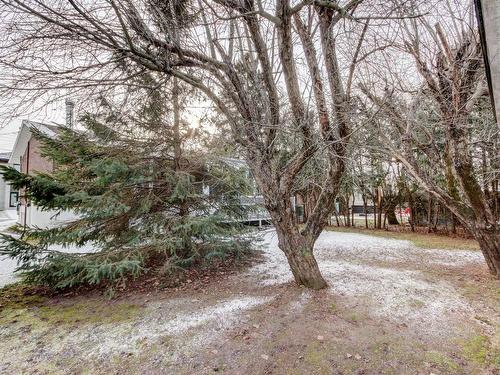 Backyard - 3120 Rue De Mayfair, Longueuil (Saint-Hubert), QC - Outdoor