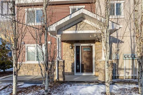 Main Entrance porch - 729 Skyview Ranch Grove, Calgary, AB - Outdoor