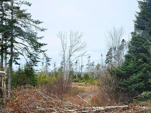 Lot 3 Old No 333 Highway, Indian Harbour, NS 