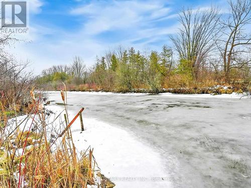 67 Irving Drive, Georgina, ON - Outdoor With View