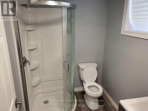 Bsmt - 221 Hellems Avenue, Welland, ON - Indoor Photo Showing Bathroom