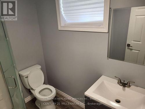 Bsmt - 221 Hellems Avenue, Welland, ON - Indoor Photo Showing Bathroom