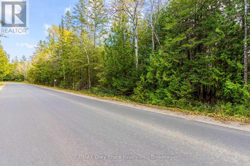 Fm Lt 4 Nicholas Street, Northern Bruce Peninsula, ON 