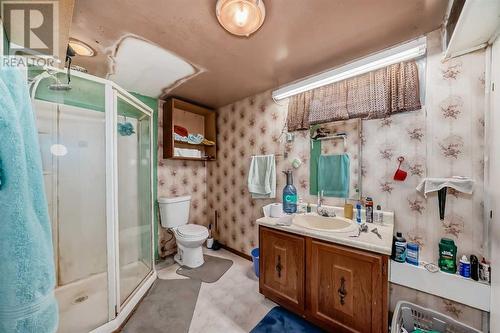 2622 42 Street Se, Calgary, AB - Indoor Photo Showing Bathroom