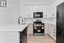 2010 - 70 Absolute Avenue, Mississauga, ON  - Indoor Photo Showing Kitchen With Double Sink 