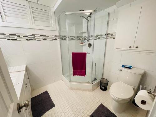 505 Dalhousie Drive, Thunder Bay, ON - Indoor Photo Showing Bathroom