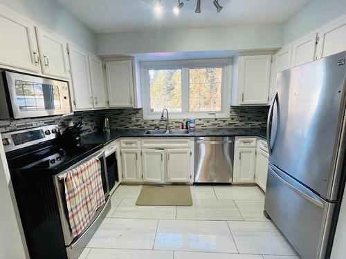 505 Dalhousie Drive, Thunder Bay, ON - Indoor Photo Showing Kitchen With Double Sink