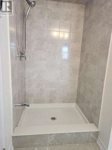 256 Velvet Way, Thorold, ON - Indoor Photo Showing Bathroom